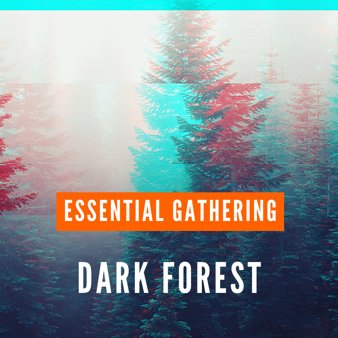 dark forest-essential gathering psystation